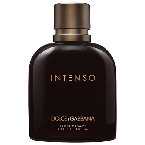 dolce gabbana intenso parfüm yorum|intenso dolce and gabbana price.